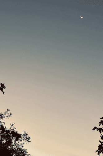 Mond Yoga