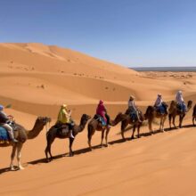 Oase des Herzens Yoga Karawane Oase des Herzens Yoga Karawane